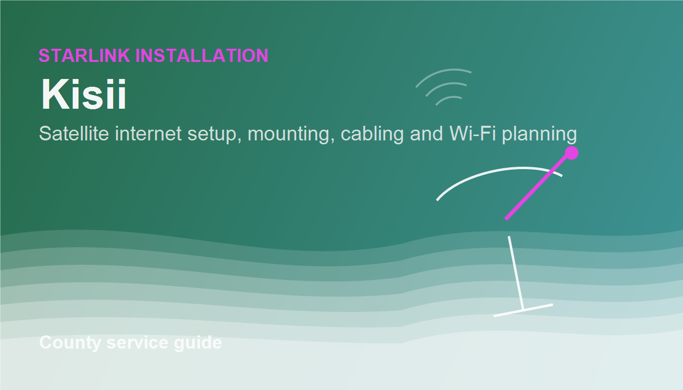 Starlink Installation in Kisii service image